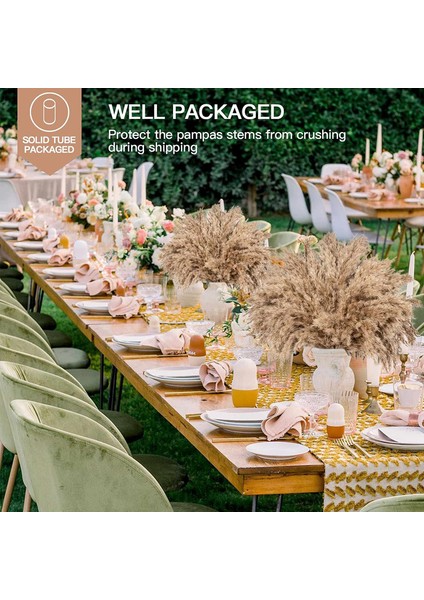 Ab Beyaz C Birincil 30 Adet 30 Adet Doğal Pampas Çim Buketi Kurutulmuş Çiçekler Gerçek Kamış Düğün Dekorasyon Noel Flores Yapay Çiçekler Ev Dekor (Yurt Dışından) fırsatları