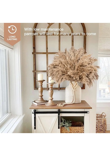 Ab Beyaz C Birincil 30 Adet 30 Adet Doğal Pampas Çim Buketi Kurutulmuş Çiçekler Gerçek Kamış Düğün Dekorasyon Noel Flores Yapay Çiçekler Ev Dekor (Yurt Dışından) indirimleri