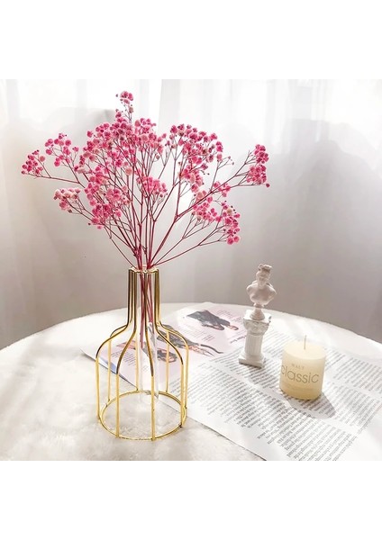 10G Vazo Yok 10-15CM 10G,10-15CM Mini Doğal Gypsophila Kurutulmuş Çiçekler Pampas Çim Kuru Çiçekler Ev Dekoratif Fotoğraf Fotoğraf Arka Fonu Dekor (Yurt Dışından)