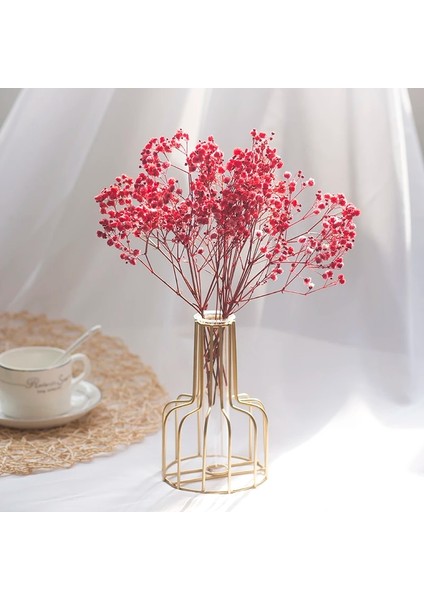 10G Vazo Yok 10-15CM 10G,10-15CM Mini Doğal Gypsophila Kurutulmuş Çiçekler Pampas Çim Kuru Çiçekler Ev Dekoratif Fotoğraf Fotoğraf Arka Fonu Dekor (Yurt Dışından)