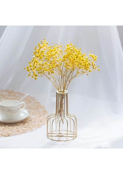 10G Vazo Yok 10-15CM 10G,10-15CM Mini Doğal Gypsophila Kurutulmuş Çiçekler Pampas Çim Kuru Çiçekler Ev Dekoratif Fotoğraf Fotoğraf Arka Fonu Dekor (Yurt Dışından)