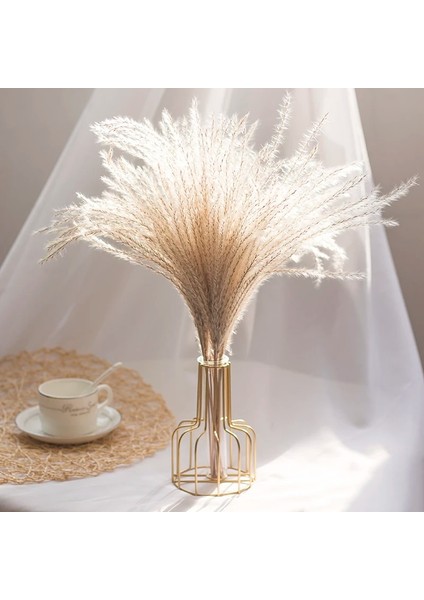 10G Vazo Yok 10-15CM 10G,10-15CM Mini Doğal Gypsophila Kurutulmuş Çiçekler Pampas Çim Kuru Çiçekler Ev Dekoratif Fotoğraf Fotoğraf Arka Fonu Dekor (Yurt Dışından)