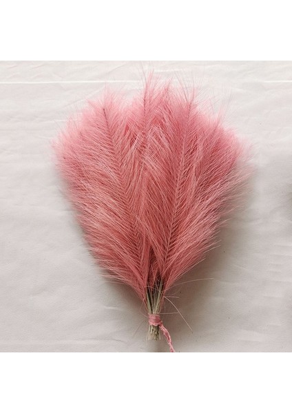 Pembe 10 Adet 10/30 Adet Kabarık Pampas Çim Yapay Çiçekler Dekorasyon Düğün Için Boho Buket Parti Ev Vazo Dekor Sahte Bitki Kamış Çiçek (Yurt Dışından)