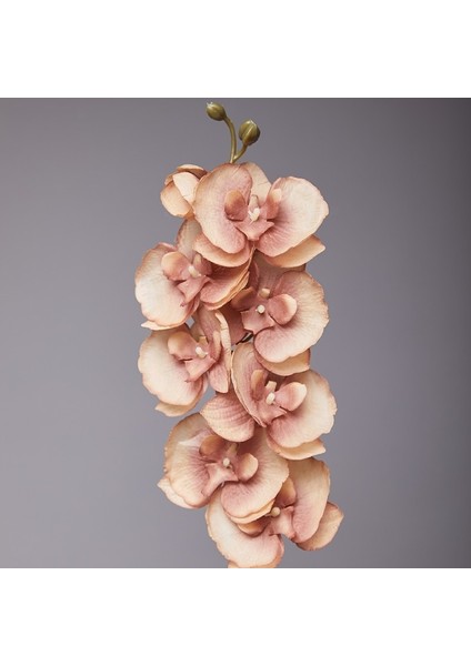 Fuşya 8 Kafaları Yapay Kelebek Orkide Ipek Çiçek 68 cm Sahte Phalaenopsis Düğün Ev Dekorasyon Yapay Çiçekler (Yurt Dışından)