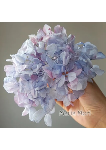 Renk M052 5g Büyük Yaprakları Macrophylla Korunmuş Ortanca Ofis Dekor Korunmuş Çiçekler Ev Dekorasyon Anna Ortanca Düğün Dekorasyon (Yurt Dışından)