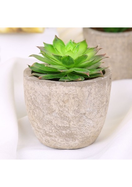 Stil 8 Plastik Yapay Etli Bitkiler Sahte Dekoratif Top Bitkiler Simülasyon Mini Mini Yapay Bonsai Ev Dekor Için (Yurt Dışından)