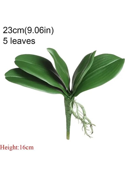 23CM-5 Yaprak Bahar Dekorasyonu Dekoratif Çiçekler Orkide Yaprakları Phalaenopsis Yaprağı Plastik Çim Simülasyon Yapay Bitkiler Bırakır (Yurt Dışından)