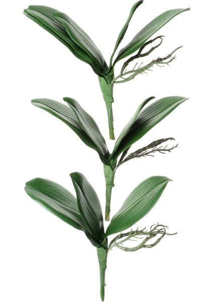 23CM-5 Yaprak Bahar Dekorasyonu Dekoratif Çiçekler Orkide Yaprakları Phalaenopsis Yaprağı Plastik Çim Simülasyon Yapay Bitkiler Bırakır (Yurt Dışından)