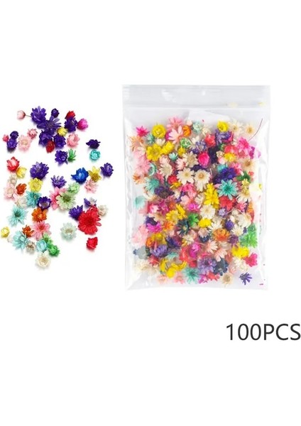 100 Adet 100/200 Adet Kurutulmuş Çiçekler Brezilya Küçük Yıldız Çiçek Dıy Zanaat Epoksi Reçine Mum Tırnak Sanat Epoksi Reçine Dolum Takı Yapımı (Yurt Dışından)