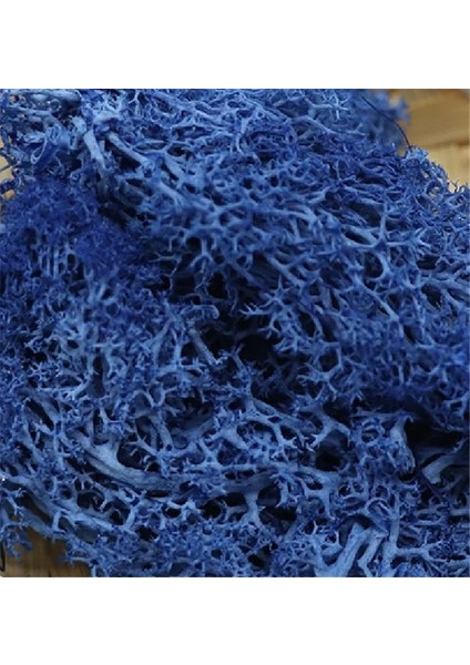 Kraliyet Mavisi 20G 20G Yapay Bitki Sonsuz Yaşam Yosun/bahçe Ev Dekorasyon Duvar Dıy Çiçek Malzemesi Mini Bahçe Mikro Peyzaj Aksesuarları (Yurt Dışından)