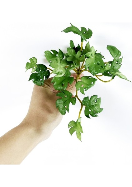Stil 4 15 cm Yapay Bitkiler Yapraklar Sahte Çim Buketi Yeşil Bitkiler Yapraklar Tropikal Ağaç Ev Bonsai Için Şanslı Çim Yeşillik Bırakır (Yurt Dışından)