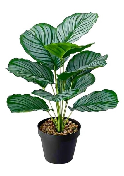 43CM Hiçbir Pot A Potsuz 43CM 12 Kafa Tropikal Monstera Yapay Bitki Şube Sahte Kaplumbağa Yaprağı Potsuz Plastik Palmiye Ağacı Ev Bahçe Duvar Dekoru Için (Yurt Dışından)