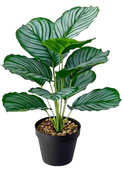 43CM Hiçbir Pot A Potsuz 43CM 12 Kafa Tropikal Monstera Yapay Bitki Şube Sahte Kaplumbağa Yaprağı Potsuz Plastik Palmiye Ağacı Ev Bahçe Duvar Dekoru Için (Yurt Dışından) indirimleri