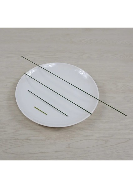 42 cm Gül Sapı Yaprağı 10 Adet 15/25/40 cm Yapay Simülasyon Gül Karanfil Çiçek Sapları Diy Düğün Dekorasyon Kök Aksesuarı Diy Çiçek Buketi (Yurt Dışından)