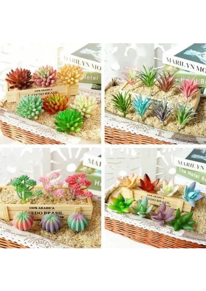 Zr Yudiehua Mor Yapay Çok Stil Akın Etli Bitkiler Dıy Ev Bahçe Ofis Düğün Dekorasyon Parti Mini Bonsai Plante Artificielle (Yurt Dışından) fiyatları