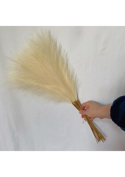 Bej 20PCS 55CM 5/10/20PCS Kabarık Pampas Çim Boho Dekor Çiçek Sahte Bitki Kamış Simüle Düğün Parti Ev Dekorasyon Yapay Çiçekler (Yurt Dışından)