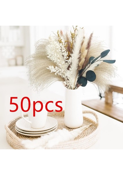 FGPG50PCS 50-200 Adet Krem Pampas Çim Kabarık Oda Phragmites Dekorasyon Doğal Tavşan Kuyruğu Çim Kurutulmuş Çiçekler Buket Boho Ev Dekor (Yurt Dışından)