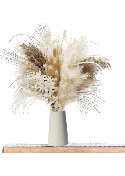 FGPG50PCS 50-200 Adet Krem Pampas Çim Kabarık Oda Phragmites Dekorasyon Doğal Tavşan Kuyruğu Çim Kurutulmuş Çiçekler Buket Boho Ev Dekor (Yurt Dışından) fiyatları