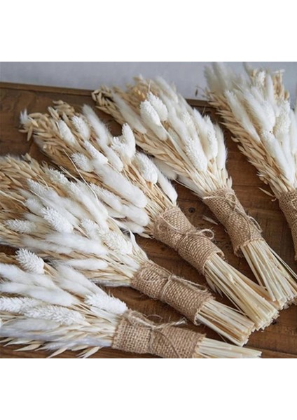 FGPG50PCS 50-200 Adet Krem Pampas Çim Kabarık Oda Phragmites Dekorasyon Doğal Tavşan Kuyruğu Çim Kurutulmuş Çiçekler Buket Boho Ev Dekor (Yurt Dışından) modelleri