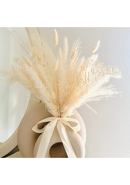 FGPG50PCS 50-200 Adet Krem Pampas Çim Kabarık Oda Phragmites Dekorasyon Doğal Tavşan Kuyruğu Çim Kurutulmuş Çiçekler Buket Boho Ev Dekor (Yurt Dışından) fırsatları