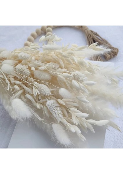 FGPG50PCS 50-200 Adet Krem Pampas Çim Kabarık Oda Phragmites Dekorasyon Doğal Tavşan Kuyruğu Çim Kurutulmuş Çiçekler Buket Boho Ev Dekor (Yurt Dışından) indirimleri