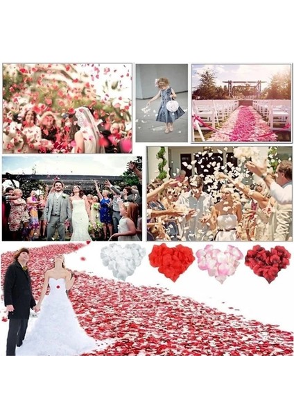 Açık Pembe 1000PCS 500/1000PCS Yapay Gül Yaprakları Renkli Romantik Düğün Yıldönümü Ipek Gül Çiçek Düğün Dekorasyon Için Güller Malzemeleri (Yurt Dışından)
