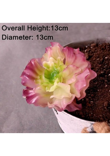 Mor Da Dixuelian Yeşil Yapay Succulents Bitkiler Masaüstü Mini Küçük Bonsai Ev Bahçe Yatak Odası Oturma Odası Ofis Dekorasyon Aksesuarları (Yurt Dışından)