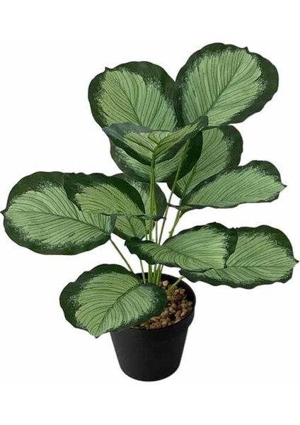 B No Pot 43 cm Yapay Bitki Şube Odası Ev Bahçe Partisi Dekoru Aksesuarları Masa Dekorasyonu Sahte Kaplumbağa Yaprağı 12 Kafa Tropikal Monstera (Yurt Dışından)