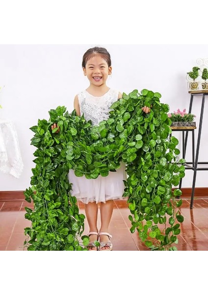Begonia 2.2 M Plantas Artificiales Ev Dekor Yapay Sarmaşık Yaprağı Çelenk Bitkiler Asma Sahte Yeşillik Çiçekler Sarmaşık Yeşil Radiz Çelenk (Yurt Dışından)
