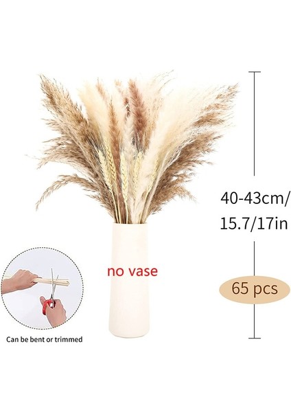Hiçbir Vazo A 30 Adet Kurutulmuş Pampas Çim Premium Kuru Buket Boho Ev Dekor Düğün Dekorasyon Için Doğal Pampa ile Dıy Küçük Kamış Bitkiler (Yurt Dışından)
