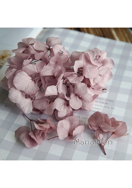 Renk M048 10G Büyük Yaprakları Macrophylla Korunmuş Ortanca Ofis Dekor Korunmuş Çiçekler Ev Dekorasyon Anna Ortanca Düğün Dekorasyon (Yurt Dışından)