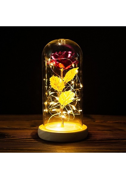 C-6 2022 LED Büyülü Galaxy Gül Ebedi 24K Altın Folyo Çiçek Noel Sevgililer Günü Hediyesi Için Kubbede Peri Dize Işıkları ile (Yurt Dışından)