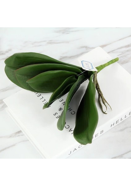 S Yapay Bitkiler Simülasyon Yeşil Güve Orkide Yaprakları Pu Phalaenopsis Dekoratif Çiçekler Mikro Peyzaj Ev Düğün Dekorasyon (Yurt Dışından)
