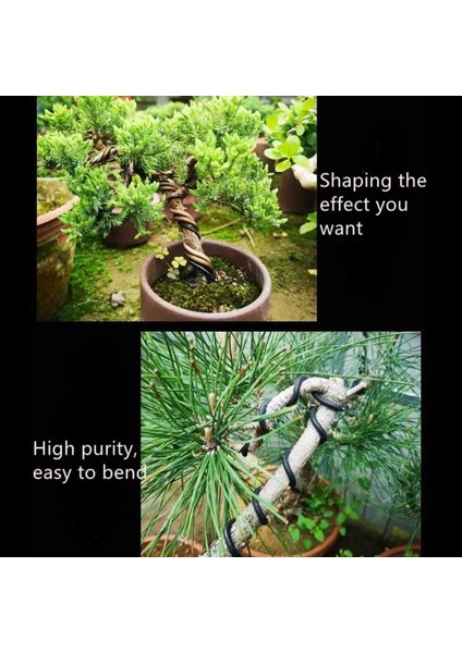 Altın Çapı 1mm 5 M/rulo Bonsai Saksısı Dekorasyon Telleri Anodize Alüminyum Bonsai Eğitim Tel Çiçeklik Bahçe Pot Alüminyum Tel Dıy Alüminyum Tel (Yurt Dışından) fırsatları