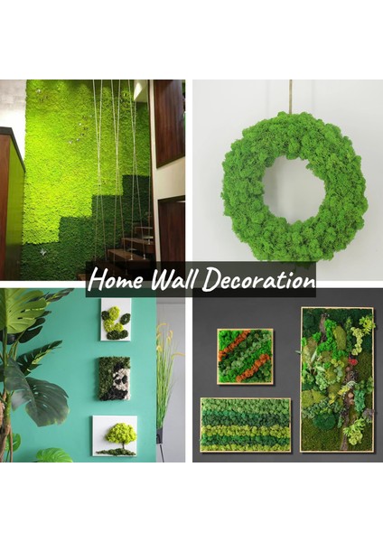 Koyu Pembe Saksı Bitkileri Için 30G Yapay Yosun Sahte Doğal Yeşil Ren Geyiği Yosun Zanaat Sanatları Için Çiçek Duvar Dekor Düğün Bahçe Dekorasyon (Yurt Dışından) indirimleri