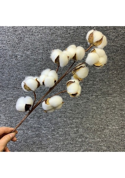 1 Adet 54 cm Doğal Kurutulmuş Pamuk Çiçekler Beyaz Ev Dekoratif Yapay Çiçek Şube Düğün Nedime Buket Dekor Sahte Beyaz Çiçek (Yurt Dışından)