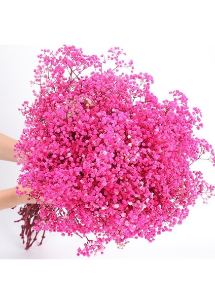 Gül Kırmızı 200G Kurutulmuş Çiçekler Bebeğin Nefes Buketi Fildişi Beyaz Çiçekler Ev Dekor Için Doğal Gypsophila Dalları Düğün Masa Dekor Çiçek (Yurt Dışından)