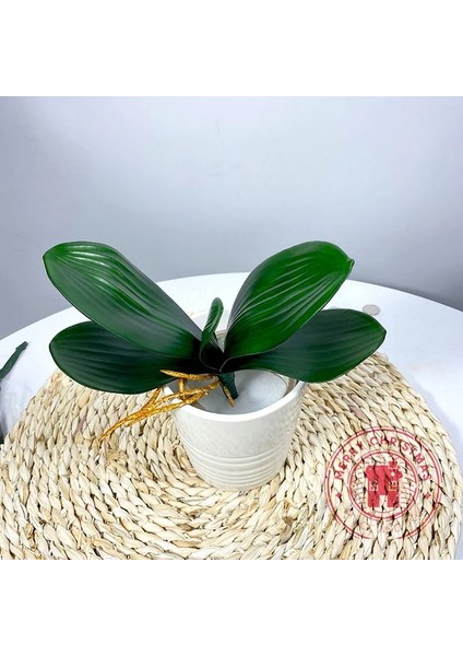 Sarı Kök 25 cm Yeni Simülasyon Bitkiler Phalaenopsis Yaprağı Dekoratif Çiçekler Yardımcı Malzeme Çiçek Dekorasyon Orkide Yaprakları Mikro Peyzaj (Yurt Dışından)