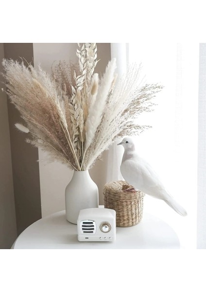 30 Adet Vazo Yok H 30 Adet Kurutulmuş Pampas Çim Premium Kuru Buket Boho Ev Dekor Düğün Dekorasyon Için Doğal Pampa ile Dıy Küçük Kamış Bitkiler (Yurt Dışından)