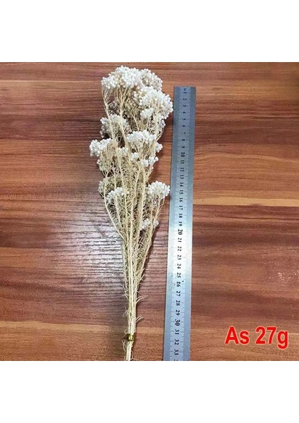 07 30G/DOĞAL Kurutulmuş Taze Korunmuş Darı Çiçeği, Ebedi Kuru Çiçek Ramillete Flores, Sonsuza Kadar Çiçek Dıy Malzeme, Düğün (Yurt Dışından) fırsatları