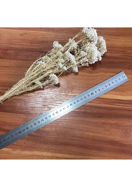 07 30G/DOĞAL Kurutulmuş Taze Korunmuş Darı Çiçeği, Ebedi Kuru Çiçek Ramillete Flores, Sonsuza Kadar Çiçek Dıy Malzeme, Düğün (Yurt Dışından) indirimleri