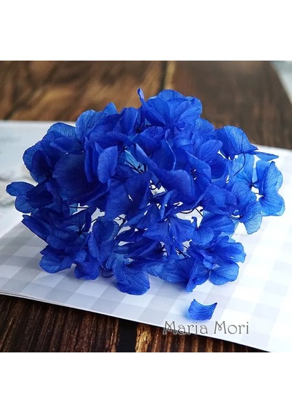 Renk M011 5g Büyük Yaprakları Macrophylla Korunmuş Ortanca Ofis Dekor Korunmuş Çiçekler Ev Dekorasyon Anna Ortanca Düğün Dekorasyon (Yurt Dışından)