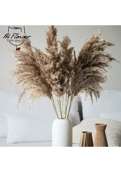 B Birincil Ab Beyaz 30 Adet 30 Adet Kurutulmuş Çiçek Doğa Kabarık Pampas Çim Düğün Parti Dekorasyon Için Bunny Tavşan Kuyruğu Sazlık Yapay Çiçekler Ev Dekor (Yurt Dışından) fiyatları