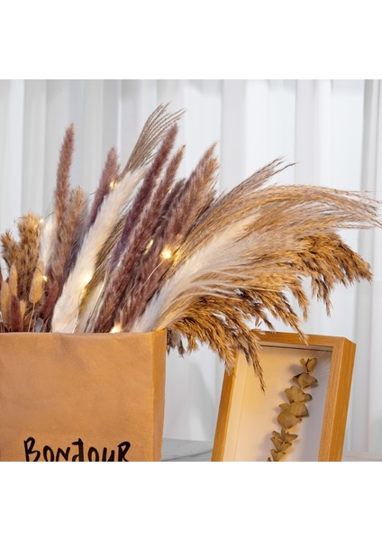 B Birincil Ab Beyaz 30 Adet 30 Adet Kurutulmuş Çiçek Doğa Kabarık Pampas Çim Düğün Parti Dekorasyon Için Bunny Tavşan Kuyruğu Sazlık Yapay Çiçekler Ev Dekor (Yurt Dışından) modelleri