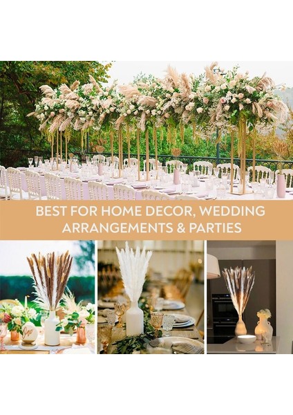 B Birincil Ab Beyaz 30 Adet 30 Adet Kurutulmuş Çiçek Doğa Kabarık Pampas Çim Düğün Parti Dekorasyon Için Bunny Tavşan Kuyruğu Sazlık Yapay Çiçekler Ev Dekor (Yurt Dışından) indirimleri