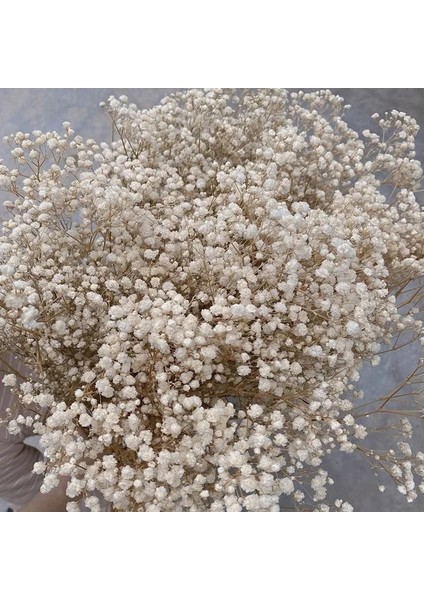 Bej 200G Kurutulmuş Çiçekler Babys Nefes Buket Fildişi Beyaz Çiçekler Ev Dekor Için Doğal Gypsophila Dalları Düğün Masa Dekor Çiçek (Yurt Dışından)