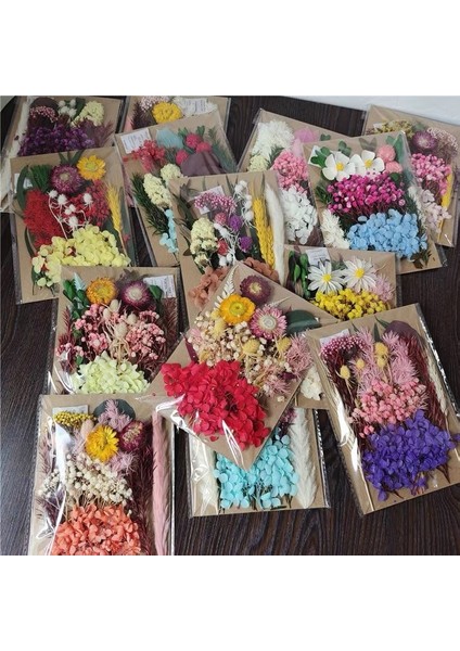 02 1 Kutu 1 Paket Renkli Doğal Korunmuş Kurutulmuş Çiçekler Reçine Döküm Kalıp Dıy Takı Yapımı El Sanatları Düğün Davetiyesi Dekorasyon (Yurt Dışından) fırsatları