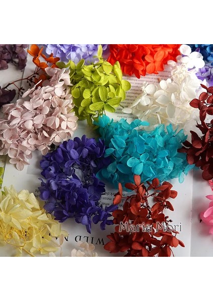 Renk H.P023B 10G Korunmuş Ortanca Paniculata Çiçekler Elips Yapraklar Ofis Dekor Kristal Tutkal Dıy Çiçekler Kokulu Mumlar Malzeme (Yurt Dışından) fırsatları