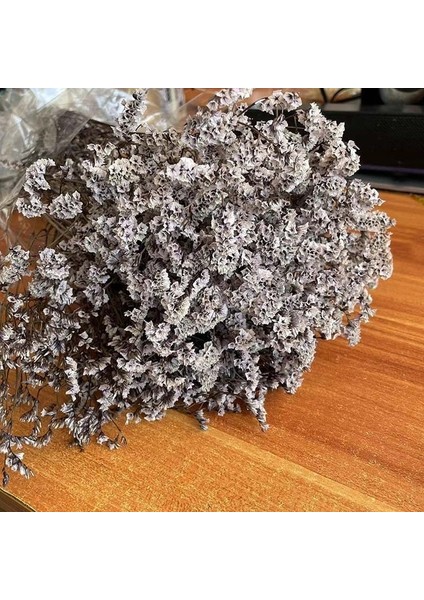 12 35 ~ 42 Cm/yaklaşık 35G Gerçek Doğal Kurutulmuş Korunmuş Kristal Çim Çiçek Buketi, Sonsuza Kadar Beni Unutma Çiçekler, Sevgilisi Çim Ev Dekor Için (Yurt Dışından)