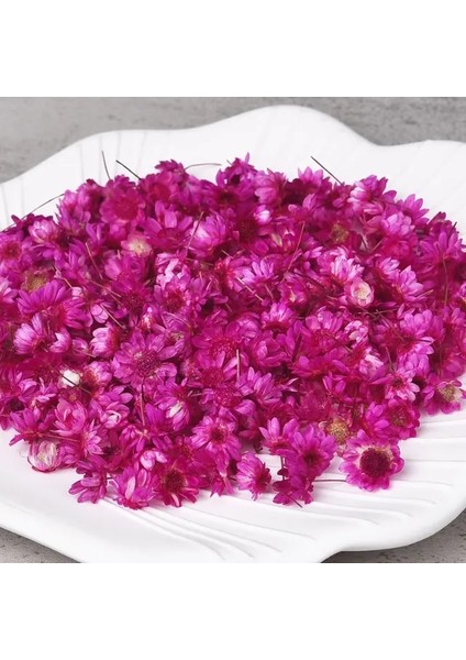 100 Adet 100/200 Adet Kurutulmuş Çiçekler Brezilya Küçük Yıldız Çiçek Dıy Sanat Zanaat Epoksi Reçine Mum Yapımı Takı (Yurt Dışından)